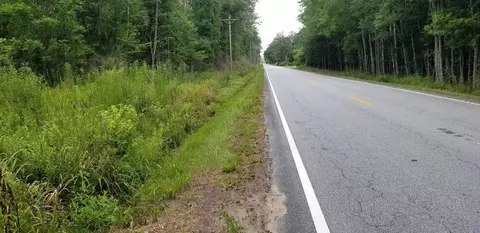 0 Jacksonboro Rd, Round O, SC 29474