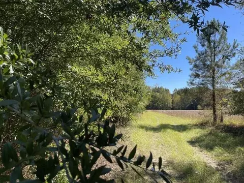 0 Carolina Hwy, Olar, SC 29843