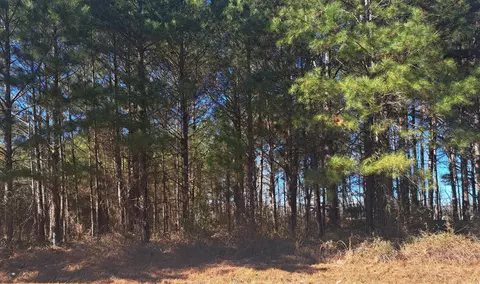 01 Antioch, Santee, SC 29142 photo 3