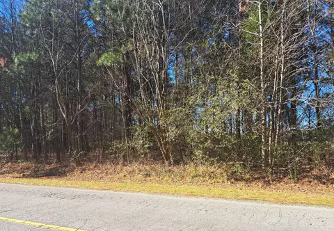 01 Antioch, Santee, SC 29142 photo 2