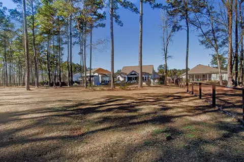 Exterior - 421 Bowstring Dr, Huger, SC 29450 photo 12 of 20