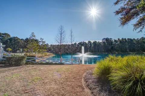 View/Area - 421 Bowstring Dr, Huger, SC 29450 photo 2 of 9