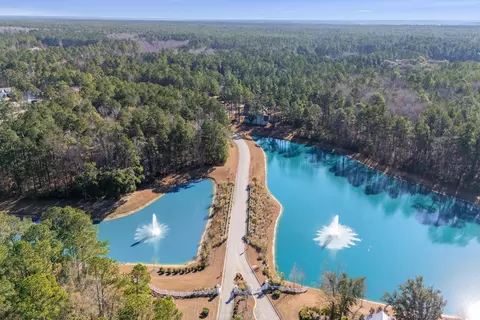 View/Area - 421 Bowstring Dr, Huger, SC 29450 photo 9 of 9