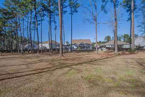 Exterior - 421 Bowstring Dr, Huger, SC 29450 photo 13 of 20