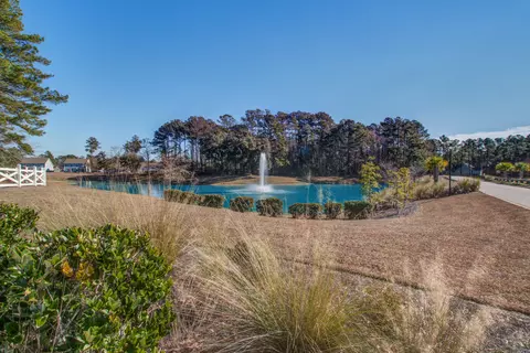 View/Area - 421 Bowstring Dr, Huger, SC 29450 photo 3 of 9