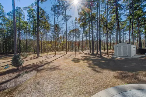 Exterior - 421 Bowstring Dr, Huger, SC 29450 photo 10 of 20