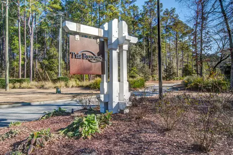 View/Area - 421 Bowstring Dr, Huger, SC 29450 photo 1 of 9
