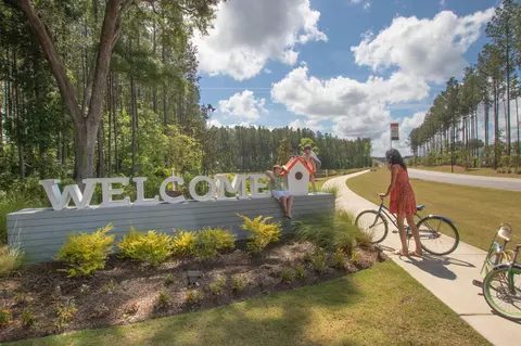 1130 Marsh Harrier Dr #CC3-9-3P, Ravenel, SC 29470