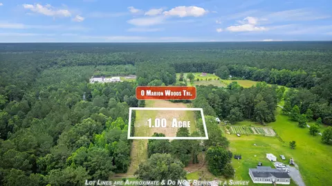 0 Marion Woods Trl, Bonneau, SC 29431