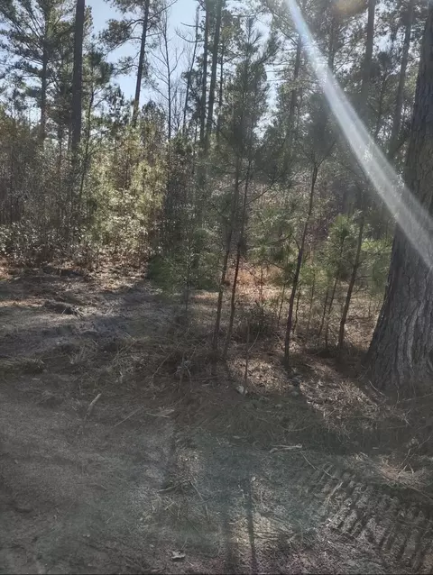 71 Breanna Ct, Cottageville, SC 29435