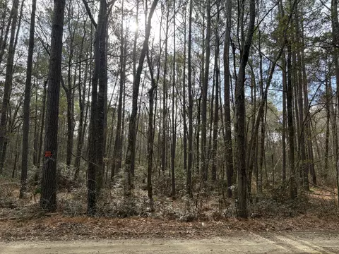0 Hercules Ln, Mcclellanville, SC 29458