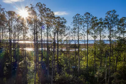 2296 Minifarm Way #525, Mount Pleasant, SC 29466