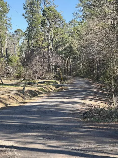 0 Mims Ln, Georgetown, SC 29440