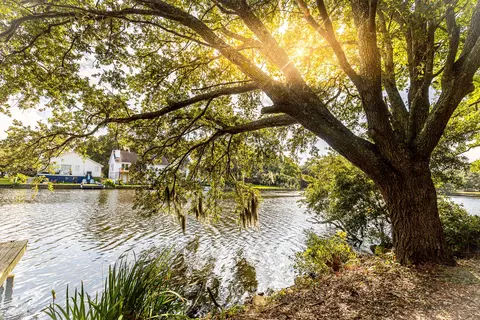 713 Lake Frances Dr, Charleston, SC 29412