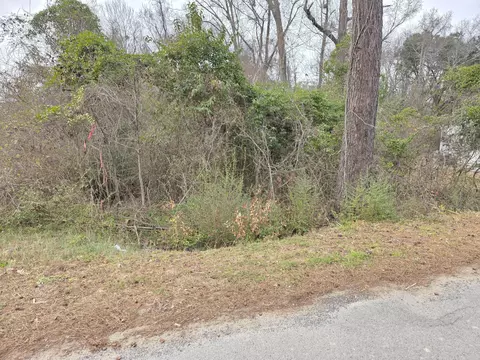 0 Mitten Rd, Moncks Corner, SC 29461 photo 5