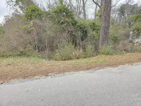0 Mitten Rd, Moncks Corner, SC 29461 photo 6