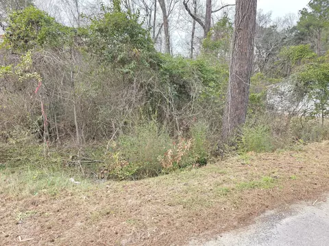 0 Mitten Rd, Moncks Corner, SC 29461 photo 3