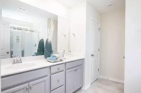 Bath - 535 Red Monarch Dr, Moncks Corner, SC 29461 photo 1 of 3