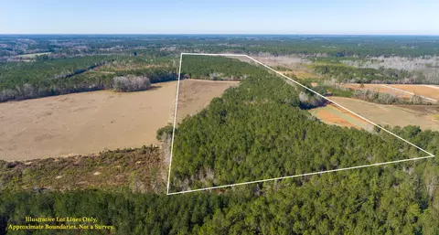 0 Hiotts Pond, Walterboro, SC 29488