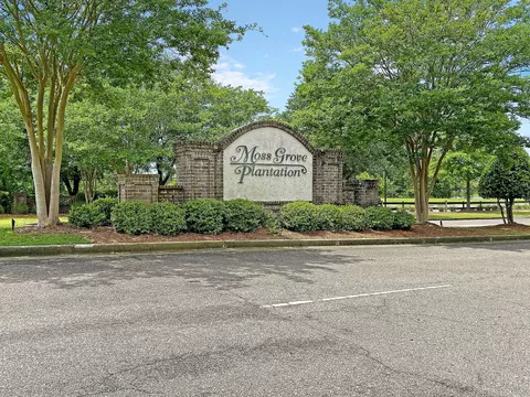 Other - 405 Bear Tree Ct, Moncks Corner, SC 29461 photo 13 of 13