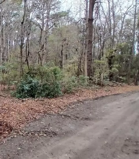 3149 Thomas Jones Rd, Johns Island, SC 29455