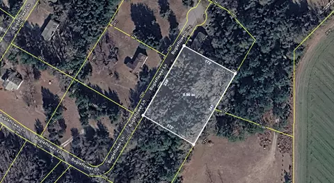 0 Bugleflower Ln, Saint Matthews, SC 29135