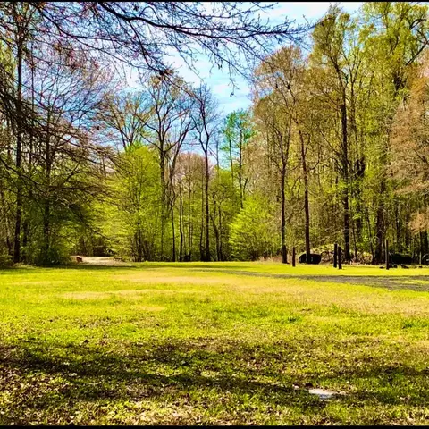 1041 Edisto River Road Rd, Reevesville, SC 29471