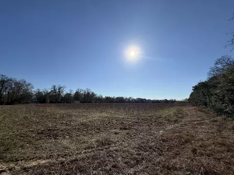 00 Barnwell St, Springfield, SC 29146 photo 24