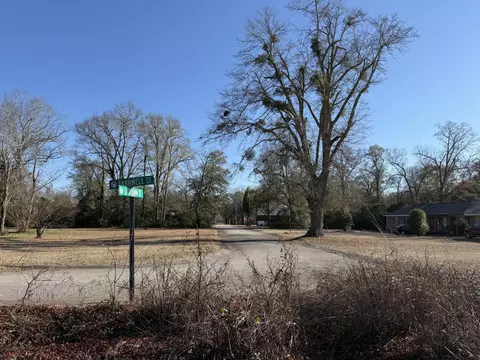 00 Barnwell St, Springfield, SC 29146 photo 53