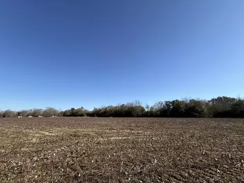 00 Barnwell St, Springfield, SC 29146 photo 37