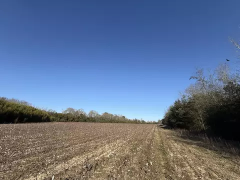 00 Barnwell St, Springfield, SC 29146 photo 44