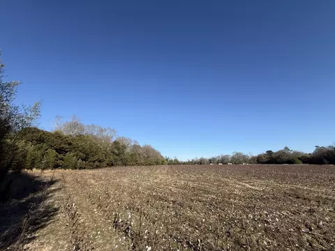 00 Barnwell St, Springfield, SC 29146 photo 36