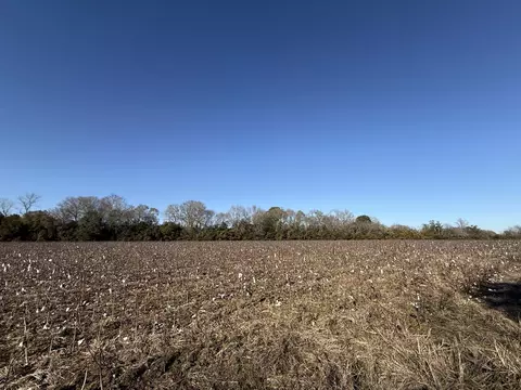 00 Barnwell St, Springfield, SC 29146 photo 47