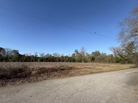 00 Barnwell St, Springfield, SC 29146 photo 54