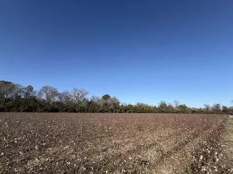00 Barnwell St, Springfield, SC 29146 photo 49