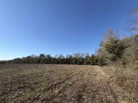 00 Barnwell St, Springfield, SC 29146 photo 18