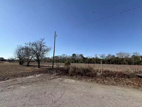 00 Barnwell St, Springfield, SC 29146 photo 55