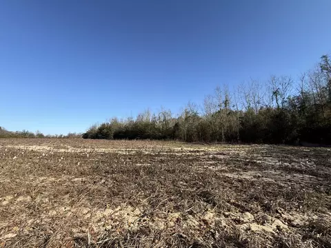 00 Barnwell St, Springfield, SC 29146 photo 40