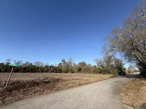 00 Barnwell St, Springfield, SC 29146 photo 56