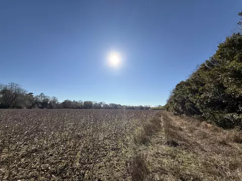 00 Barnwell St, Springfield, SC 29146 photo 27