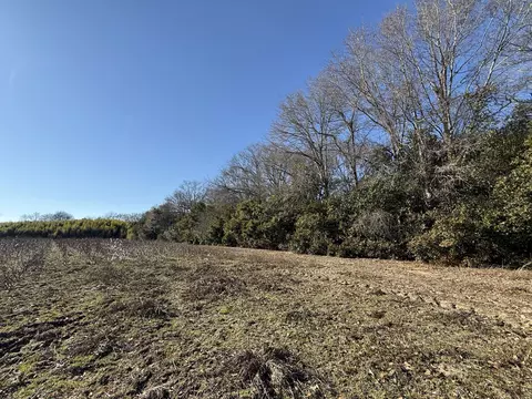 00 Barnwell St, Springfield, SC 29146 photo 32