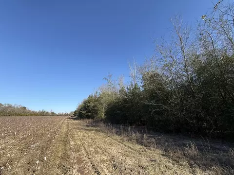 00 Barnwell St, Springfield, SC 29146 photo 43