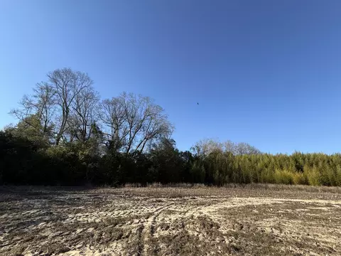 00 Barnwell St, Springfield, SC 29146 photo 42
