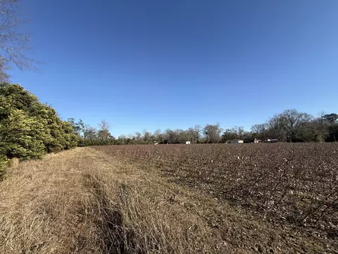 00 Barnwell St, Springfield, SC 29146 photo 28