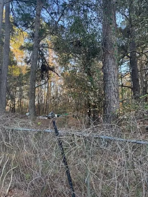 0 Central Ave, Summerville, SC 29483
