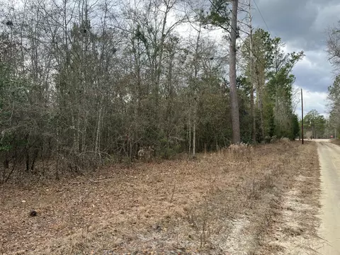 101 Driggers Ln, Walterboro, SC 29488 photo 13