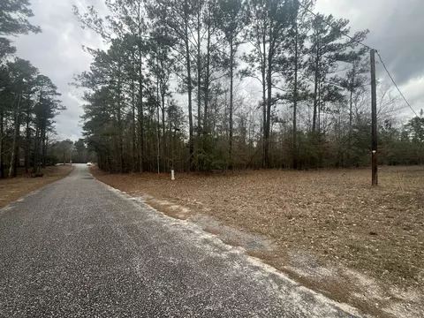 101 Driggers Ln, Walterboro, SC 29488 photo 25