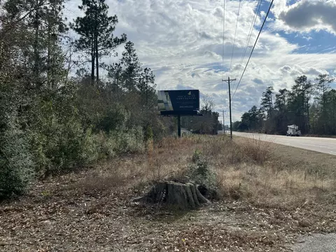101 Driggers Ln, Walterboro, SC 29488 photo 4