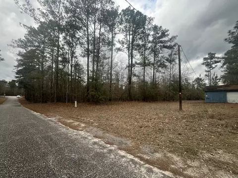 101 Driggers Ln, Walterboro, SC 29488 photo 21