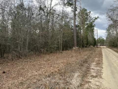 101 Driggers Ln, Walterboro, SC 29488 photo 15